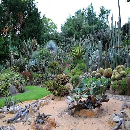 Nocleg ze śniadaniem Ingiropernapoli Neapol