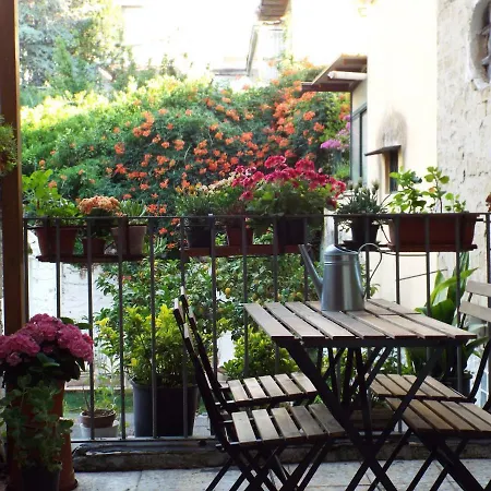 Couette-café Ingiropernapoli